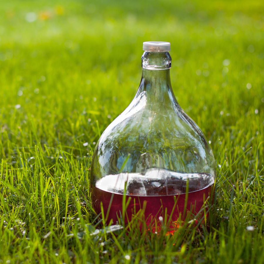 Zibenlikör - süß & wohlig.